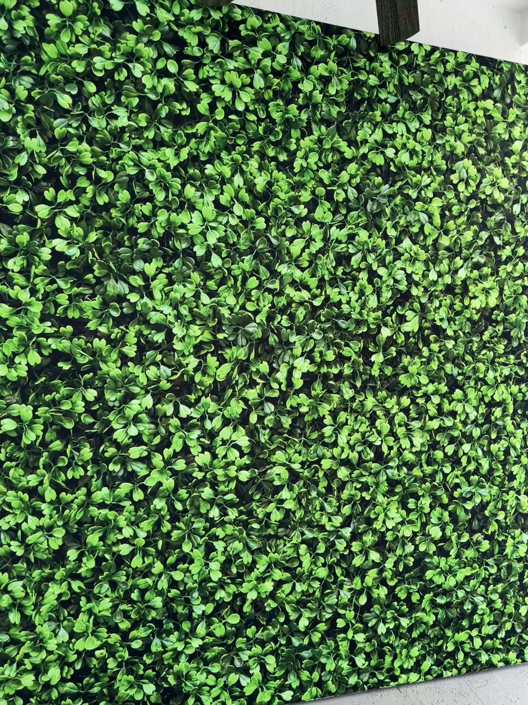 Premium greenery backdrop for a photo booth event